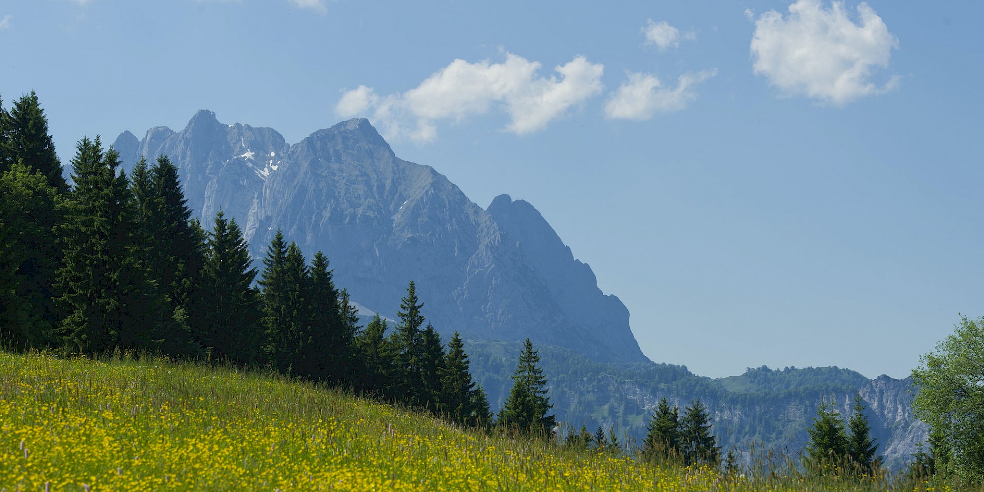 Frühlingserwachen