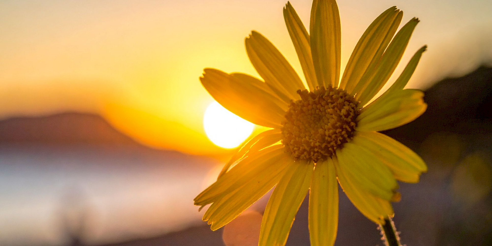 Wohlfühlbehandlungen